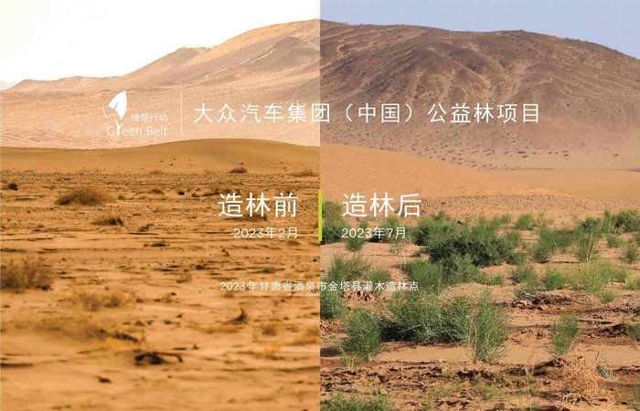 11. 2023年甘肃省酒泉市金塔县灌木造林点植树成果.jpg