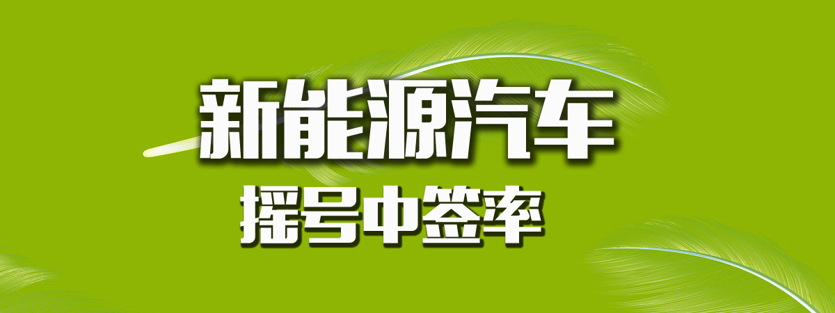 新能源摇号|新能源汽车摇号中签率_专题_团车网