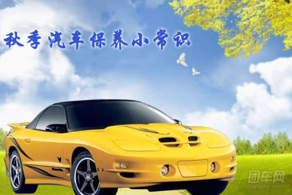 团车网
